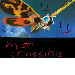 Moth crossing