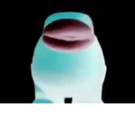 fujdgihgfkgfj cate 2