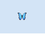 $Butterfly$