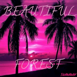 Beautiful Forest
