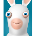 Rabbid fan club