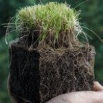 Hustle and Harvest (DARK MARKET UPDATE)