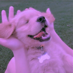 Cʜɪʟʟɪɴ Wɪᴛ Fʀᴇɴs >:D