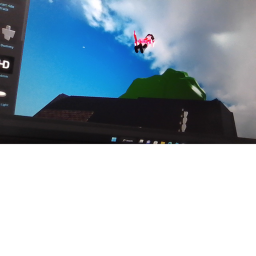 survive in the worst game ever known to mankind