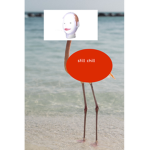 Flamingo and Felipe Fan Group!