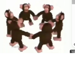 monke=cool