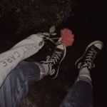 _Fan Group