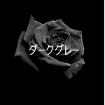Black Rose 花