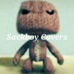 Sackboy Covers