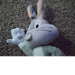 Chum chum fan army