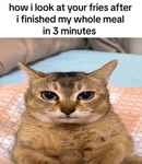 WLWmow