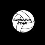 Wakanda group volleyball