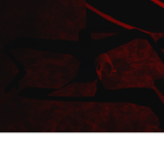The Critters that hunt at night