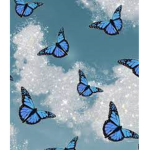 ~Aesthetic_Butterflies~