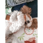 millyy’s world