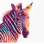 <..~..> ZEBRA ISLAND <..~..>