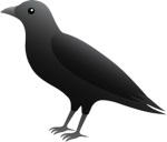 Raven-Avian Studios