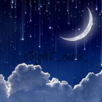_Night_Owls_