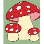 Mush room pack