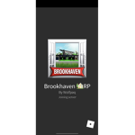 Brookhaven role-play group