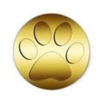 the Animal_Squad