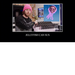 Jellyfish can SUS!!!!