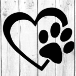 Animals golden hangout
