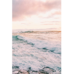 • ɪᴄᴏɴɪᴄ ᴅᴀɪsʏs •