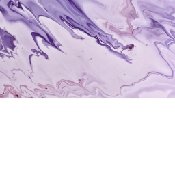 PURPLE LOVE FOR LIFE'S Line Runner