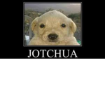 I’m just gonna go