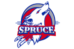 Spurce High School