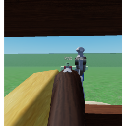 zombie musket