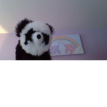 The little Panda's