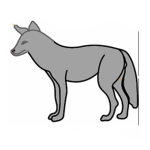 Coyote Creationsツ