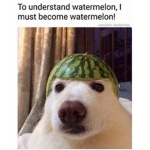 watr melone gang