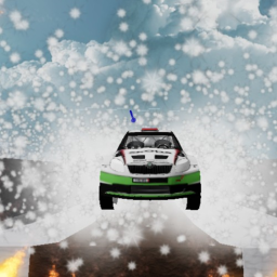 Snow Tundra Rally Racing
