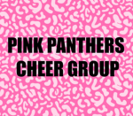 Pink Panthers Cheer Group!!!