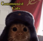 Communist cats party