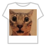 cat meme
