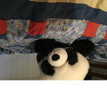 Panda groupe