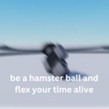 be a hamster ball and flex your time alive