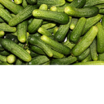 Pickled cucumbers