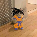 The Universal Cats Group Thumbnail