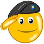 Eretzi Yisraeli Armed Forces
