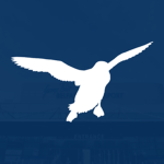 North Atlantic Airways Official.