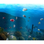 Air Coral