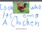 Chicken_United