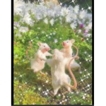 ~*Fairy core love~*