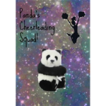 Pandas Cheerleading Squad!