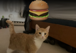Ollie burger